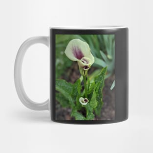 Calla Lilies Photographic Image Mug